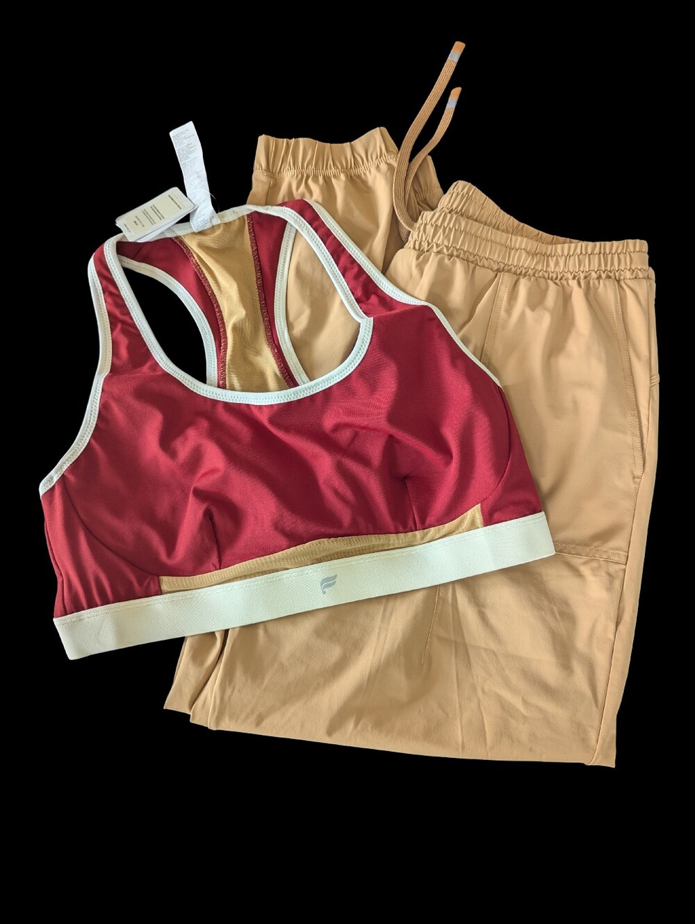 Fabletics Fit Hiking Pants and Sports Bra XL New